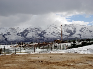 Outside town a piece, against the Ruby Mountains